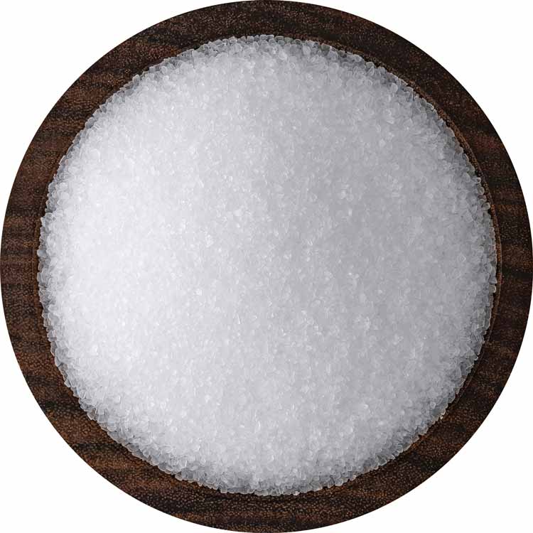Bowl of Pure Ocean sea salt